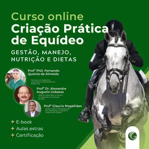Imagem de capa para o Curso online Criação Prática de Equídeo