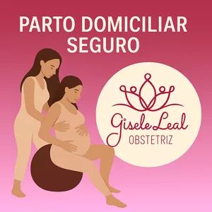 Imagem de capa para o Curso online Parto Domiciliar Seguro para Enfermeiras e Obstetrizes – Método PDS | Introdução 