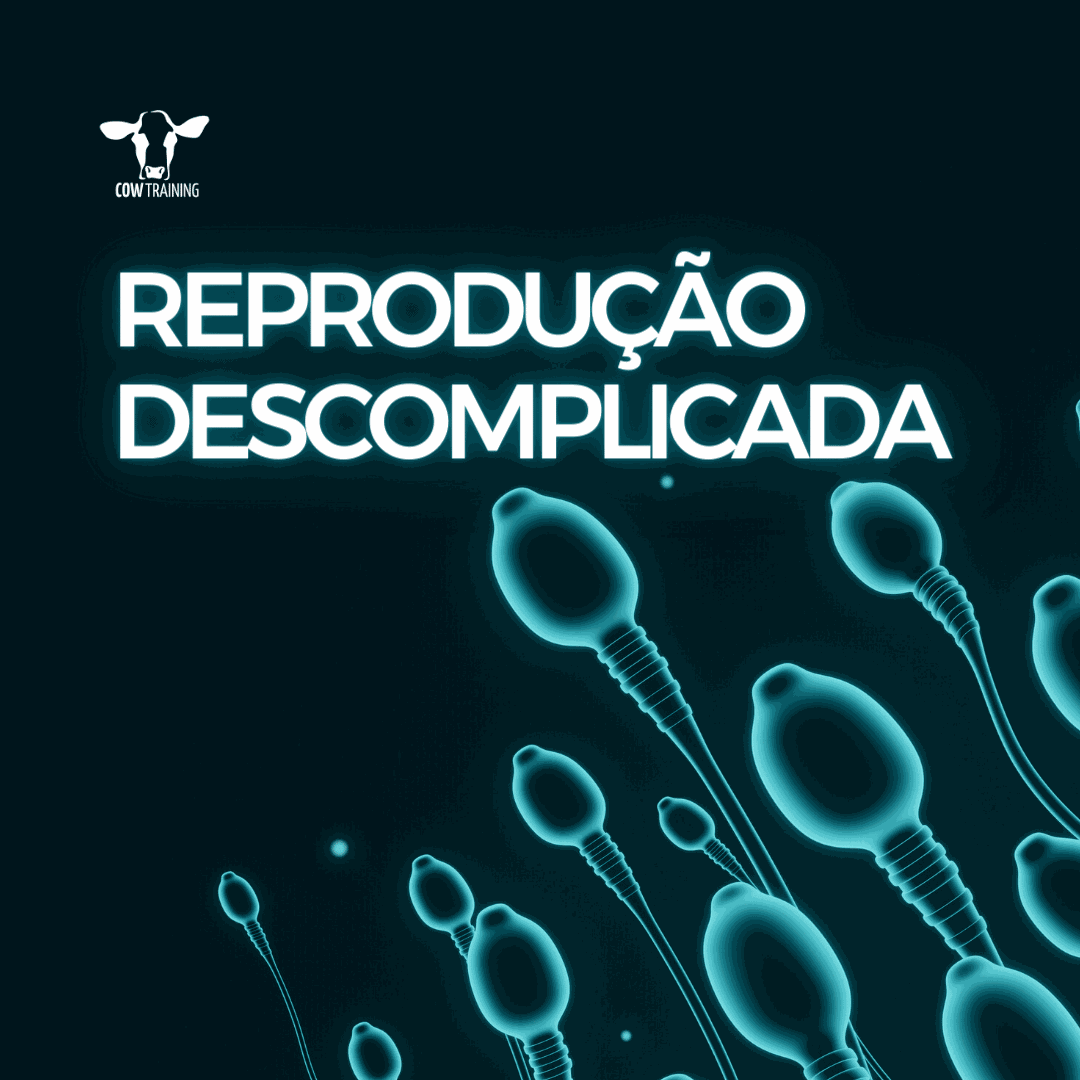 PerfilhotmartCOMBO.jpg