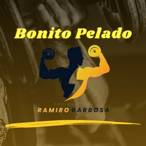 Imagem de capa para o Ebook Bonito Pelado