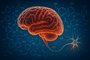 Dr.Bender presents Masters in Psychopharmacology