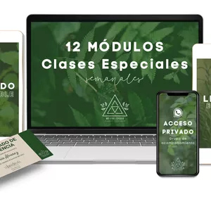 Imagen de portada para Curso online G4 Formación guías de meditación