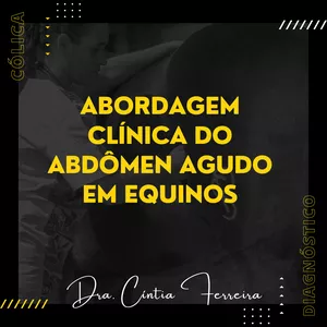 Imagem de capa para o Curso online Abordagem Clínica do Abdômen Agudo em Equinos