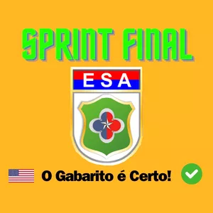 Imagem de capa para o Curso online Inglês com Foco - Sprint final ESA