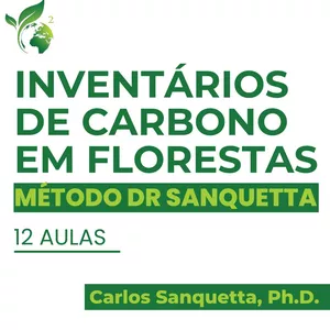 Imagem de capa para o Curso online Inventários de Carbono em Florestas