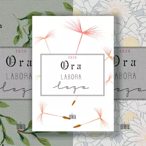 Imagem de capa para o Ebook AGENDA Ora, Labora, Lege 2020