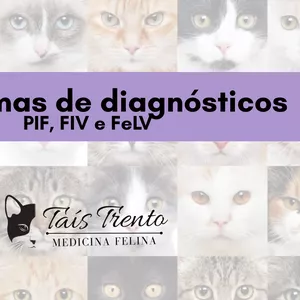 Imagem de capa para o Ebook Diagramas de diagnósticos - PIF, FIV e FeLV