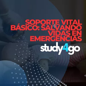 Imagen de portada para Curso online Soporte Vital Básico  BLS