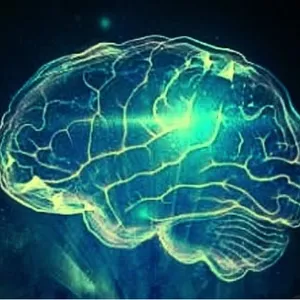 Imagem de capa para o Ebook Domine a Lei da Atração: O Caminho para uma Vida Próspera e Plena