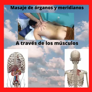 Imagem principal do produto MASAJE DE ORGANOS Y MERIDIANOS DE ACUPUNTURA A TRAVES DE LOS MÚSCULOS