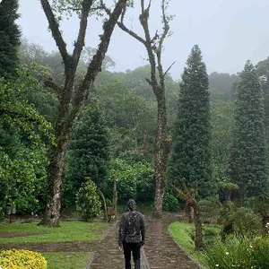 Imagem de capa para o Curso online Guia de Gramado (e Serra Gaúcha)