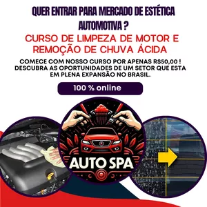 Imagem de capa para o Curso online Curso de Lavagem técnica de motor e Remoção de chuva ácida 