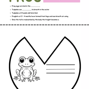 Imagem de capa para o Ebook Butterfly and frog cycle life 