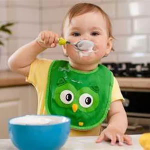 Imagen de portada para Ebook metedo BLW