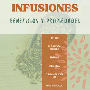 Imagen de portada para Ebook Infusiones: propiedades y beneficios 