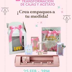 Imagen de portada para Curso online CURSO DE TRANSFORMACION DE CAJAS CON CAMEO 