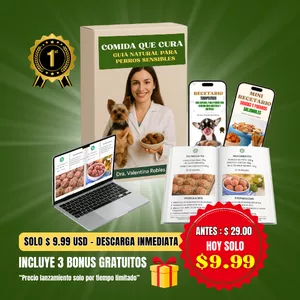 Imagen de portada para Curso online Comida que Cura – Kit Natural para Perros Sensibles
