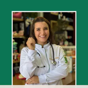 Imagem de capa para o Ebook Primeiros Socorros Caninos: O Que Todo Tutor Precisa Saber