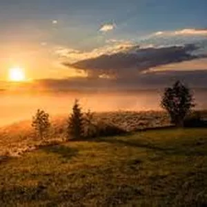 Imagem de capa para o Curso online MMP - Disabled