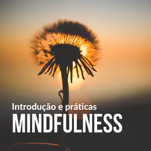 Imagem de capa para o Curso online Introdução e práticas de Mindfulness