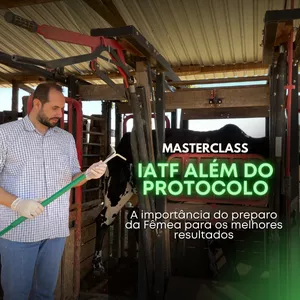 Imagem de capa para o Curso online Masterclass: IATF ALÉM DO PROTOCOLO