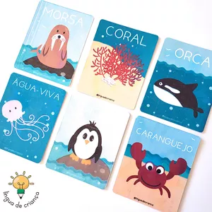 Imagem de capa para o Curso online Flashcards Seres do Mar