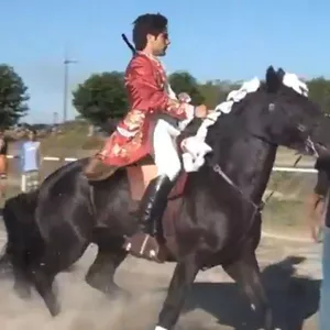 Imagem de capa para o Curso online Cavaleiro Marcelo Mendes ataca a cavalo manifestantes contra a tourada na Torreira