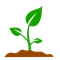 Emerge to Prosper