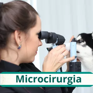 Imagem de capa para o Curso online Microcirurgia