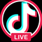 Tiktok Live - Your new full time income