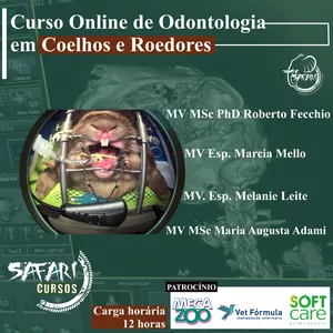 Imagem do curso Curso Online de Odontologia em Coelhos e Roedores