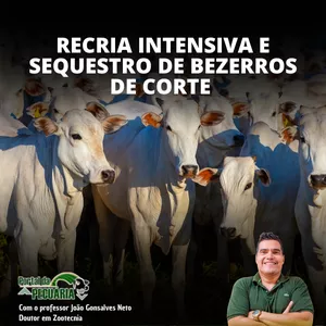 Imagem de capa para o Curso online Recria intensiva e sequestro de bezerros de corte