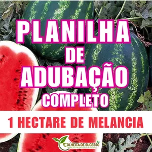 Planilha Planilha de adubação para 1 HECTARE de melancia 🍉