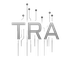 Technology Risk Academy