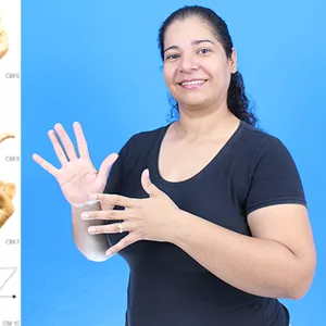 Imagem de capa para o Curso online Curso de Libras Básico Completo