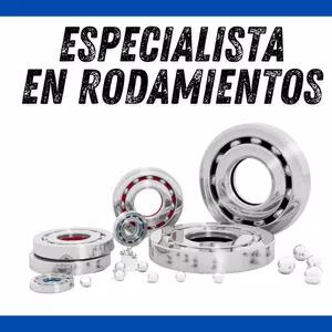 Imagen de portada para Curso online Especialista en Rodamientos