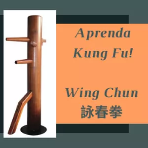 Imagem de capa para o Curso online Curso de formação em Wing Chun / Ving Tsun 詠春拳 1/8