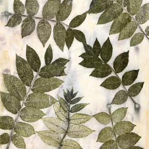Cover image for Online course Ecoprint: Leaf to Print
