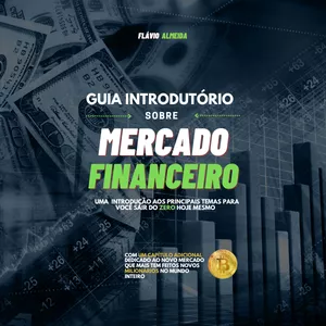Imagem de capa para o Ebook Guia Introdutório sobre Mercado Financeiro