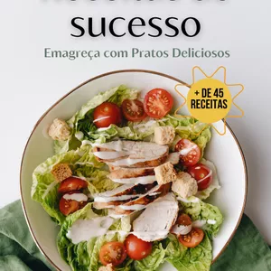 Imagem de capa para o Ebook Receitas de Sucesso