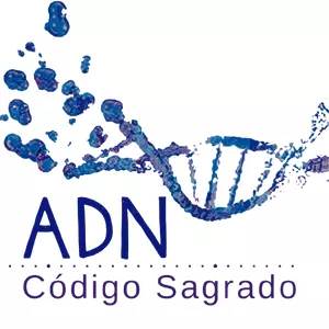 Cover image for Online course Diseño web