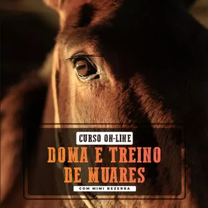 Imagem de capa para o Curso online Doma e Treino de Muares com Mimi Bezerra