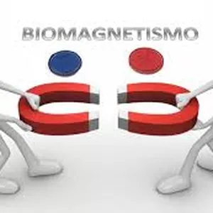 Imagen de portada para Curso online TÉCNICA BÁSICA BANSAL