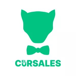 Imagen de portada para Curso online El Cursales
