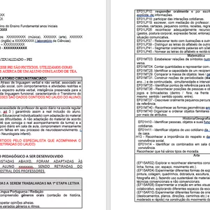 Imagem de capa para o Ebook PEI (PLANO DE ESTUDO INDIVIDUALIZADO) - MODELO COMPLETO 