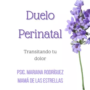 Imagen de portada para Curso online Duelo Perinatal - Transitando el dolor