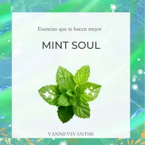 Imagen de portada para Ebook MINT SOUL