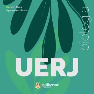 Imagem de capa para o Ebook Apostilão UERJ 2025