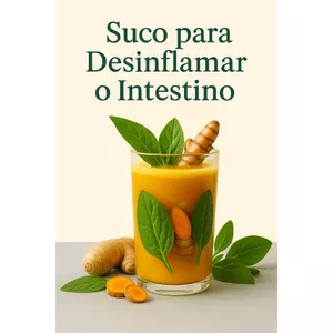 Imagem de capa para o Ebook Suco para Desinflamar o Intestino
