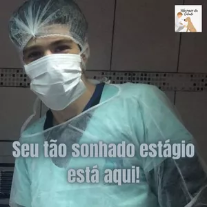 Imagem do curso O guia para conseguir o tão sonhado estágio em Medicina Veterinária